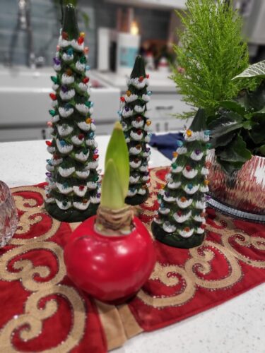 Set of 3 Retro Hand-Painted Ceramic Trees with LED Lights photo review