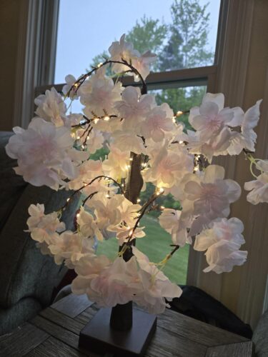 24 Inch Pink LED Cherry Blossom Tree photo review