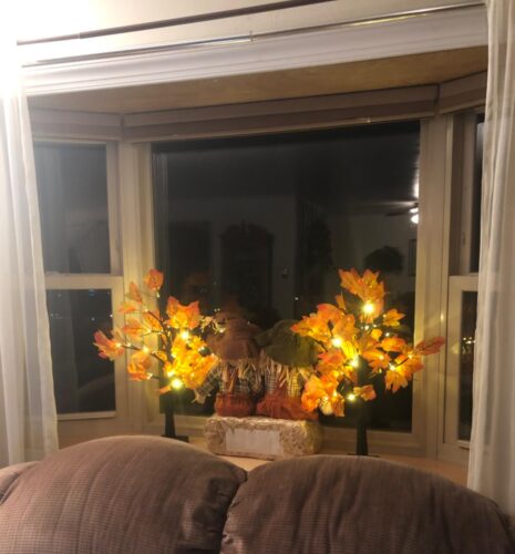 2 Pack Fall Lighted Maple Tree 48 LED Lights  photo review