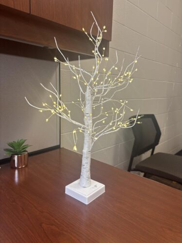 144 LED Birch Tree Lights photo review