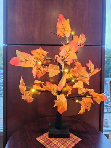 2 Pack Fall Lighted Maple Tree 48 LED Lights  photo review