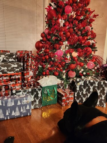 Goodnight Lights Santa tree Ornament Controller photo review