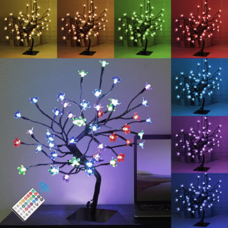 Red and White (25) Red and White (25)