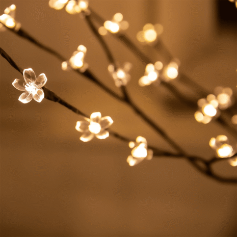 Red and White (3) Red and White (3)