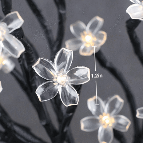 Red and White (3) Red and White (3)