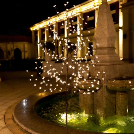 Red and White (6) Red and White (6)